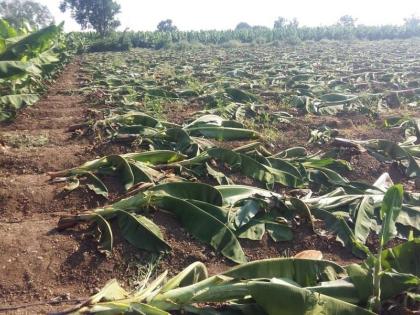  Gangapur dam damaged by Sadbhav village Shivar, famine of drought: Ann the Spot Report | गंगापुरी धरण उशाशी अन् पाडळे गाव शिवार उपाशी, दुष्काळाची दाहकता : आॅन दी स्पॉट रिपोर्ट