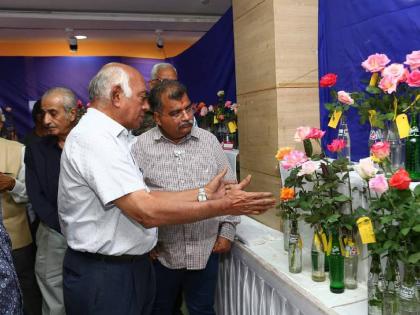 Festival of Roses at Dombivli Cultural City; Fourteenth year of the Rose Festival | डोंबिवली सांस्कृतिक नगरीत गुलाबांचा उत्सव; रोझ फेस्टिवलचे चौदावे वर्ष