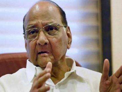 Rayat Shikshan Sanstha will work like a university says Sharad Pawar | Sharad Pawar: 'रयत'चे विद्यापीठ जूनपासून सुरू होणार, शरद पवारांनी व्यक्त केला विश्वास