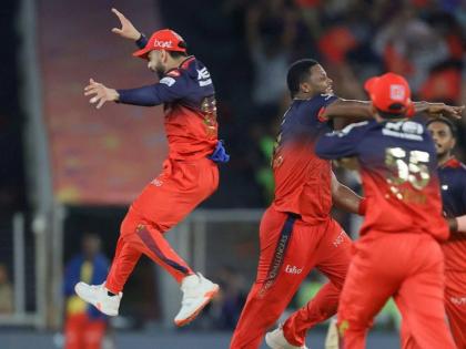 RCBs Title Win Shatters Several Records As IPL 2025 Final Becomes Most Watched T20 Game Of All Time | आयपीएलचं याडं; RCB अन् PBKS यांच्यातील फायनलमध्ये सेट झाला सर्वाधिक व्ह्यूअरशीपचा नवा रेकॉर्ड