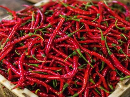 A hint of red pepper lingers; A price of 33 thousand 800 rupees per quintal | लाल मिरचीचा ठसका कायम; क्विंटलला तब्बल ३३ हजार ८०० रुपये भाव