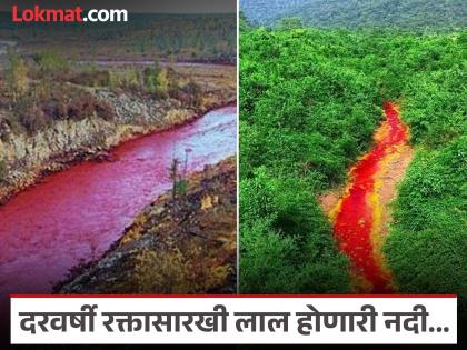 वर्षातून एकदा रक्तासारखी लाल होते 'ही' नदी, जाणून घ्या काय आहे निसर्गाचं हे अनोखं रहस्य