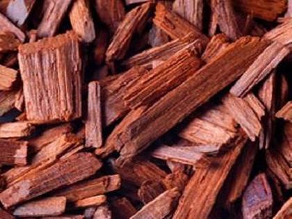 Seized Red sandalwood worth 7.5 crore The trio are arrested | साडेसात कोटींचे रक्तचंदन जप्त; त्रिकुट अटकेत 