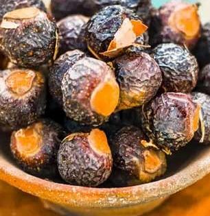 रिठ्याचे हे उपयोग माहिती आहेत का ? पार्लर आणि रासायनिक प्रॉडक्ट्स नकोच आपल्याला!! पाहा रिठा वापरण्याची पद्धत