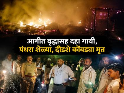 काळाचा क्रूर घाला! कोठ्याला आग लागून वृद्धाचा दुर्दैवी मृत्यू;गायी, शेळ्या, १५० कोंबड्या खाक - Marathi News | Tragic Fire in Dharur! Elderly Father Perishes, 10 cow, 15 goats and 150+ chicken Burnt Alive in Short-Circuit Blaze | Latest beed News at Lokmat.com
