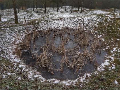 Red zone of France most fatal place earth declared no man land 100 years | 100 वर्षांपूर्वी या गावात झालं असं काही आता प्राण्यांना जाण्यासही आहे बंदी!