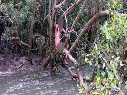 Naked fugitive found in crocodile waters survived on snails | आसमान से गिरे, खजूर में अटके...पोलिसांच्या भीतीने मगरींच्या परिसरात जाऊन लपला आणि....