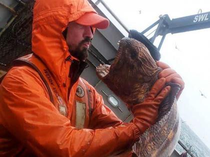 Fisherman catch wolf eel dubbed real life sea monster by social media users | बाप रे बाप! 'या' व्यक्तीने पकडला असा मासा की लोक बघून म्हणाले समुद्री राक्षस!