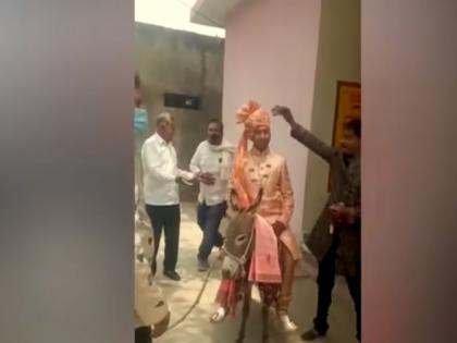 Dewas viral video groom sitting on donkey enjoying bizarre marriage relatives thrill on beats | Viral Video: बाबो! घोडी नाही तर गाढवावरून काढली नवरदेवाची वरात, नातेवाईकांचा कल्ला डान्स....