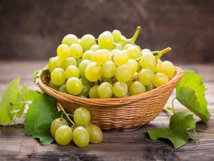 There are many benefits to eating grapes in the summer; benefits are much more | उन्हाळ्यात द्राक्षे खाण्याचे खूप होतात फायदे; वाचून विश्वास बसणार नाही