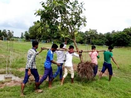 The tree is not broken, but carried over the shoulder; The youth won the hearts of the people | झाड तोडलं नाही तर खांद्यावरुन नेले दुसरीकडे; तरुणांनी जिंकली लोकांची मने