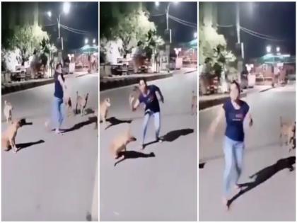 Funny video of girl dancing in front of dogs on street, basanti dance viral video | Funny Video: कुत्र्यांसमोर बिनधास्त होऊन नाचली 'बसंती', रस्त्याच्या मधोमध दिला लाइव्ह परफॉर्मन्स...