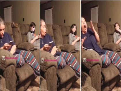 two girls chatting on sofa snake on sofa gets scared, video goes viral on social media | सोफ्यावर बसून आरामात गप्पा मारत होता, इतक्यात सोफ्यावरच हळूहळू सरपटत आला साप अन्...