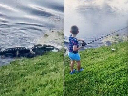 Shocking : Alligator rises out of water to snatch young boys fish watch clip | VIDEO : ७ वर्षाचा मुलगा पकडत होता मासे, अचानक पाण्यातून बाहेर आली मगर आणि मग....