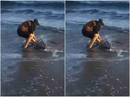 Man saves dolphin life heart touching video goes viral on social media | तडफडणाऱ्या डॉल्फीनला दिले त्याने जीवनदान; व्हिडिओ पाहुन म्हणाल, माणूसकी जिवंत आहे!