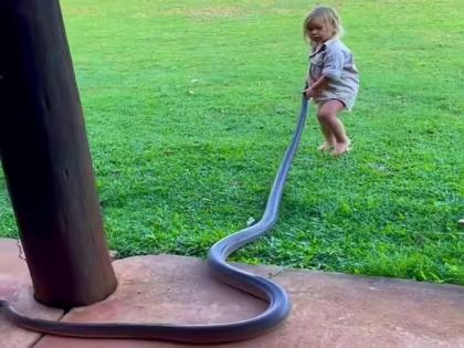 VIDEO : 2 year old kid dragged giant snake and threw it video viral child throws snake | आरारारारा खतरनाक! २ वर्षाच्या मुलाने खतरनाक सापासोबत केलं असं काही, बघणारे बघतच राहिले...