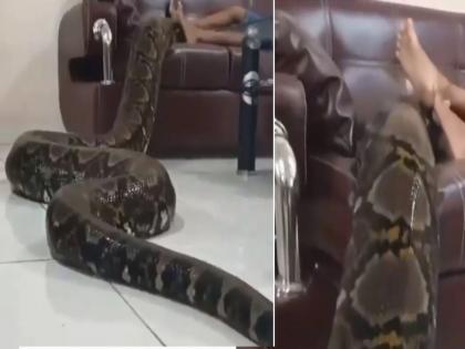 Viral video : Kid was playing a game on sofa suddenly huge snake reached the side | VIDEO : सोफ्यावर गेम खेळत असलेल्या मुलाजवळ पोहोचला मोठा साप, पण पडला नाही काहीच फरक