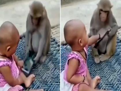 Viral Video : Naughty monkey got into a fight with the girl playing with the mobile | Viral Video: मोबाइल खेळत असलेल्या चिमुकलीसोबत माकडाचं भांडण, व्हिडीओ व्हायरल