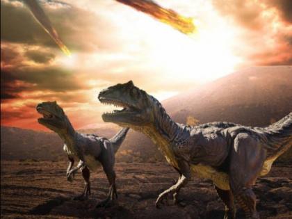 30 eggs of giant dinosaur titanosaur found in spain fossilized nest | पुन्हा परत येणार का डायनासॉर? स्पेनमध्ये सापडली या विशाल जीवाची ३० सुरक्षित अंडी