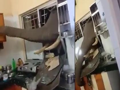 Viral Video : Elephant enter the kitchen of the house such work done before leaving | Viral Video: खिडकी तोडून घरातील किचनमध्ये शिरला होता हत्ती, जाण्याआधी केलं त्यानं अविश्वसनीय काम!