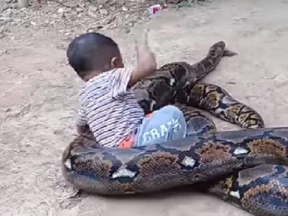 Toddler playing with 10 feet long python in a viral video | VIDEO : १० फूट लांब अजगरासोबत खेळताना दिसला २ वर्षांचा चिमुकला, व्हिडीओ पाहून हैराण झाले लोक...