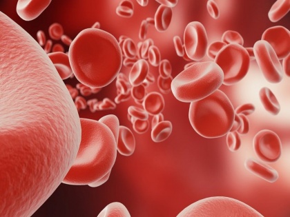 Health Tips : Warning signs of low hemoglobin level in body | Health Tips : रक्त कमी झाल्यावर शरीर देतं हे ५ संकेत, ही लक्षणं दिसली तर वेळीच व्हा सावध!