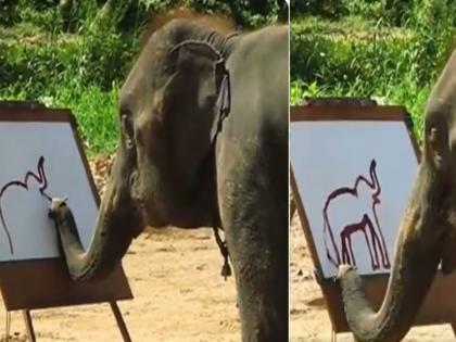 Elephant surprised by making picture of himself even you can not make such a nice painting | VIDEO : इतकं चांगलं पेंटिंग तर तुम्हीही करू शकणार नाही, हत्तीने स्वत:चं चित्र काढून केलं अवाक्