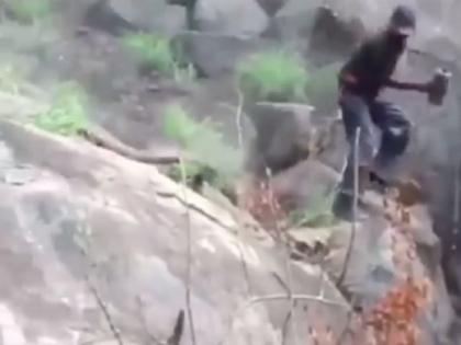 Snake attacked a man in the forest shocking video viral | VIDEO : जंगलात खतरनाक सापाने व्यक्तीवर केला हल्ला, बघूनच उडेल थरकाप!