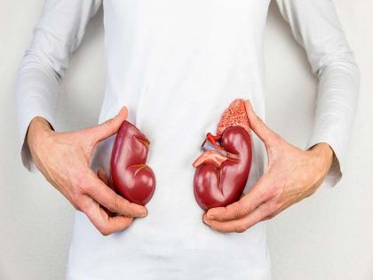 World Kidney Day 2022 : Tips to make kidney healthy | World Kidney Day 2022: या ५ सवयी आजच सोडा, नाही तर किडनीचं होईल मोठं नुकसान