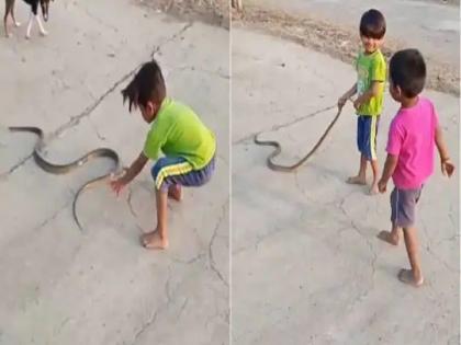 Video : Small boy playing with big snake leave you in shock | Viral : छोट्याश्या मुलाने सापाला हैराण करून सोडलं, व्हिडीओ बघून अवाक् झाले लोक