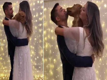 Bride and groom dancing video with dog on wedding day goes viral | VIDEO : लग्नात डान्स करताना नवरी-नवरदेवासोबत घडलं असं काही, आयुष्यभर लक्षात राहील हा क्षण