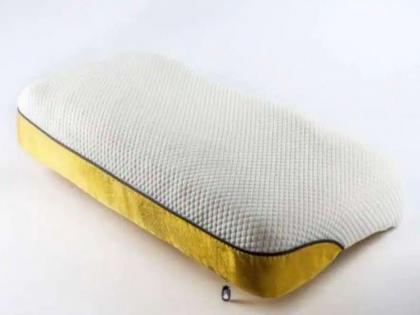 World most expensive pillow made by Netherlands physiotherapist know features | Most Expensive Pillow: 45 लाखात विकली जात आहे जगातली सर्वात महाग उशी, पण इतकी महाग का?