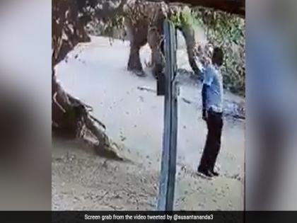 Elephant throws dirt on man reason will make you laugh see viral video | रस्त्यात उभ्या व्यक्तीवर हत्ती अचानक फेकू लागला माती, कारण बघून कराल हत्तीचं कौतुक