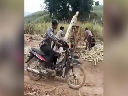 Extracting sugarcane juice in an inovative way watch video | VIDEO : बाइकच्या मदतीने ऊसाचा रस काढण्याचा अजब जुगाड, 15 सेकंदात निघतो 1 ग्लास रस