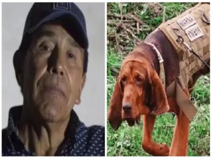 Infamous drug lord rafael caro quintero arrested by Mexico navy dog max | ज्या डॉनच्या शोधात होते 2 देशांचे पोलीस, त्याला एका श्वानाने काही तासांमध्ये पकडलं