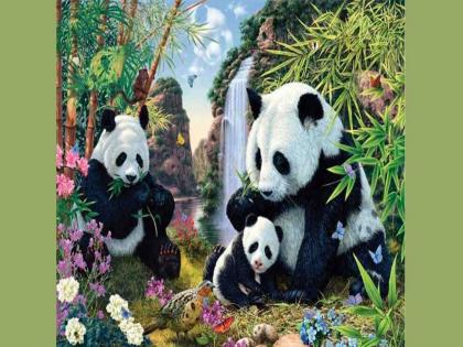 Optical illusion : 12 pandas are hidden in this picture, can you found it | Optical Illusion: या फोटोत लपले आहेत एकूण 12 पांडा, 30 सेकंदात शोधण्याचं चॅलेंज!