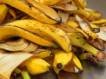 American nutritionist Erin Kenney told amazing health benefits of eating banana peels | अमेरिकन न्यूट्रिशनिस्टचा दावा, केळीच्या साली खाऊन कॅन्सरपासून होईल बचाव, जाणून घ्या फायदे!