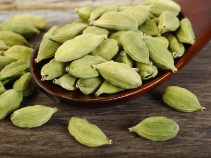 Know how green cardamom beneficial for your health | रोज रात्री झोपण्यापूर्वी 2 वेलची खाण्याचे आरोग्यदायी फायदे, ज्यांचा तुम्ही कधी विचारही केला नसेल!