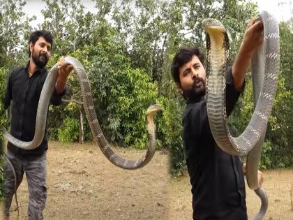 Man was traying to catch King cobra and he attack, people shocking reaction viral | VIDEO : King Cobra सोबत खेळत होता व्यक्ती, अचानक त्याने केला हल्ला आणि मग...