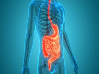 Health Tips : 7 ayurveda tips for healthy digestive system | पचनक्रिया चांगली राहण्यासाठी ७ खास आयुर्वेदिक उपाय, कधीच जवळ येणार नाही आजार!