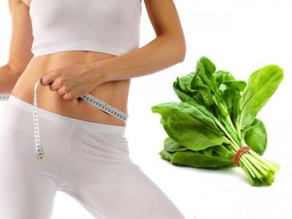 Belly Fat : One cup spinach can reduce your belly fat, know these benefits | पोटावरील चरबी लवकर दूर करण्यासाठी या भाजीचं नियमित करा सेवन, मग बघा कमाल!