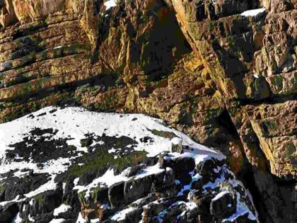 Optical illusion : Can you find a dangerous leopard in rocks | Optical illusion : चॅलेंज! फोटोत शिकारीची वाट बघत लपला आहे एक बिबट्या, 13 सेकंदात शोधून दाखवा!