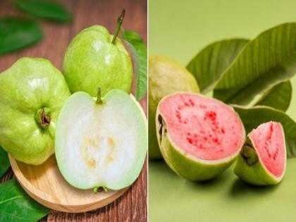 Do you know the benefits of guava pink vs white? You should know this | गुलाबी आणि पांढऱ्या पेरूमध्ये काय आहे फरक? जाणून घ्या तज्ज्ञांचं मत....