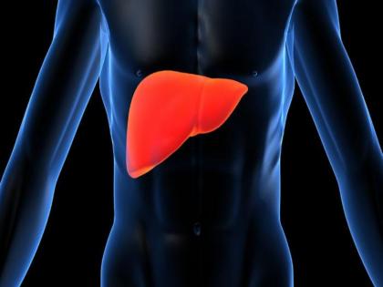 Health Tips : Easy ways to avoid liver diseases | लिव्हरसंबंधी आजारांपासून बचाव करण्याचे सोपे उपाय, या लक्षणांकडे अजिबात करू नका दुर्लक्ष