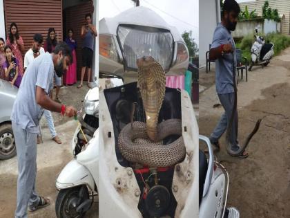 Giant cobra snake hidden inside activa scooty man rescue in live video | VIDEO : स्कूटीच्या आत लपून बसला होता खतरनाक किंग कोब्रा आणि मग...