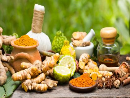 Ayurveda doctor shared golden rules about Ayurveda treatment to get full results | कोणतेही आयुर्वेदिक उपाय करण्याआधी जाणून घ्या सत्य, डॉक्टरांनी सांगितली नेमकी चूक