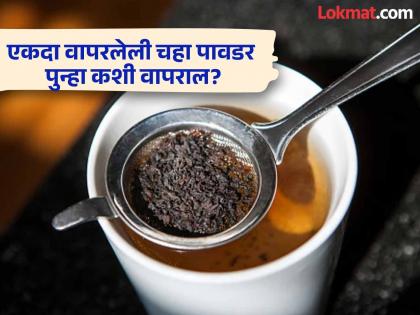 How to reuse chaipatti, know the benefits | फेकण्याऐवजी वापरलेल्या चहा पावडरचा 'असा' करा वापर, मग बघा कमाल!