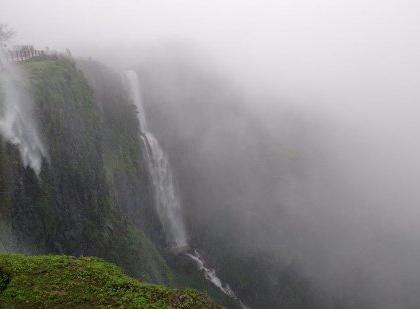 Biodiversity research expedition to be carried out in Kavalesad valley | कावळेसाद खोऱ्यात राबविणार जैवविविधता संशोधन मोहीम, तज्ज्ञांचा सहभाग