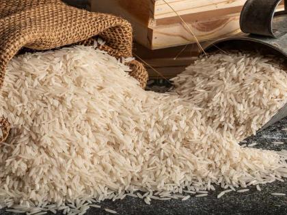 Iran-Israel conflict affects basmati rice exports; local producers, farmers, traders suffer big blow | इराण-इस्रायल संघर्षामुळे बासमती तांदळाच्या निर्यातीवर परिणाम;स्थानिक उत्पादक शेतकरी, व्यापाऱ्यांना मोठा फटका Iran-Israel conflict affects basmati rice exports; local producers, farmers, traders suffer big blow | इराण-इस्रायल संघर्षामुळे बासमती तांदळाच्या निर्यातीवर परिणाम;स्थानिक उत्पादक शेतकरी, व्यापाऱ्यांना मोठा फटका