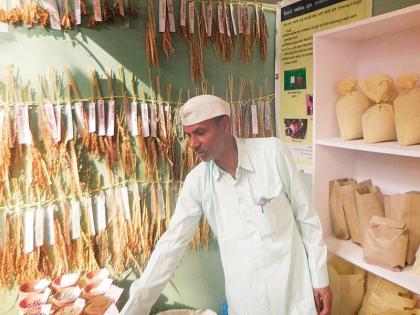 Traditional rice bank seed developed by the farmer's married couple | शेतकरी दाम्पत्याने विकसित केलेल्या पारंपरिक भात बियाणांच्या बँकतील वाण अमेरिकेने केले प्रमाणित